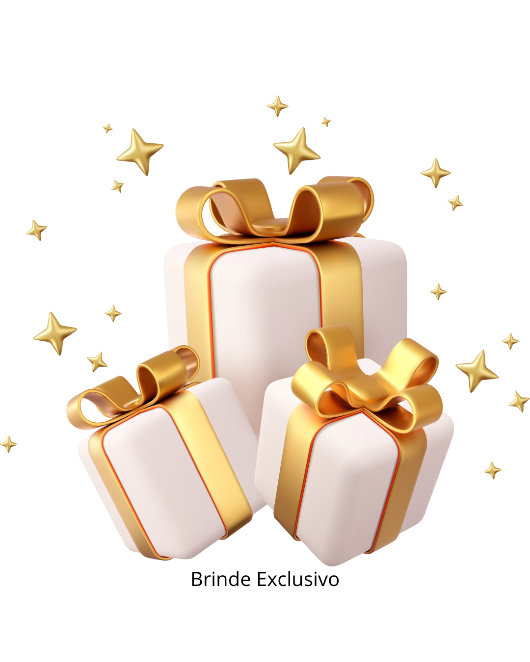 BRINDE EXCLUSIVO